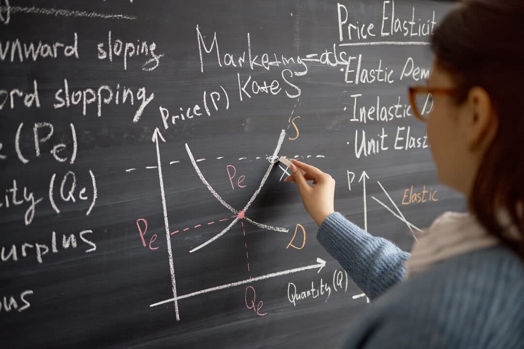 Price Elasticity and Scenario Analysis